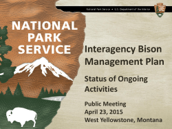 Quarantine Procedures for Yellowstone Bison