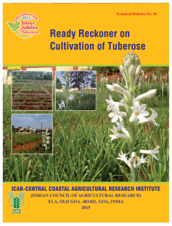 Ready Reckoner on Cultivation of Tuberose