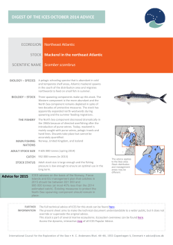 ECOREGION Northeast Atlantic STOCK Mackerel in the