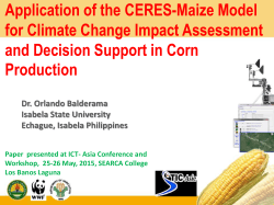 Application of the DSSAT-CERES-Maize Model for