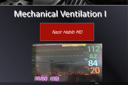 Mechanical Ventilation I