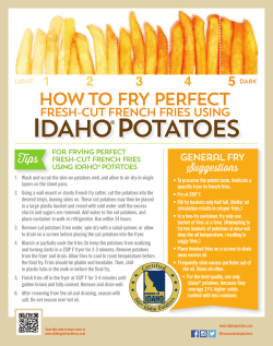 15-0408 How To Fry Poster-New Size-f copy
