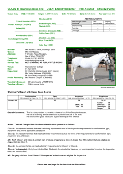 Irish Draught Horse Society (GB)