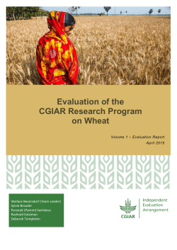 Evaluation of the CGIAR Research Program on Wheat