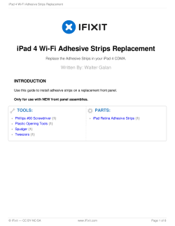 iPad 4 Wi-Fi Adhesive Strips Replacement