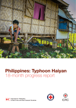 Typhoon Haiyan 18-month progress report