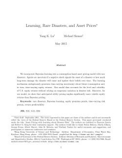 Learning, Rare Disasters, and Asset Prices