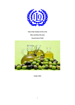 Value Chain Analysis of the in the Olive and Olive Oil sector