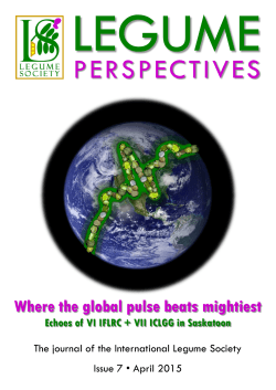 Legume Perspectives Issue 7 is available