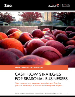 CASH FLOW STRATEGIES FOR SEASONAL BUSINESSES