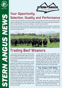 Trading Beef Weaners