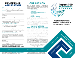 2015 Brochure - Impact 100 Baldwin County