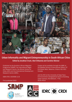 Urban Informality and Migrant Entrepreneurship in South