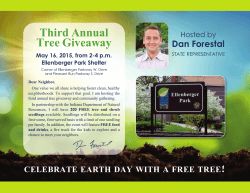 Third Annual Tree Giveaway