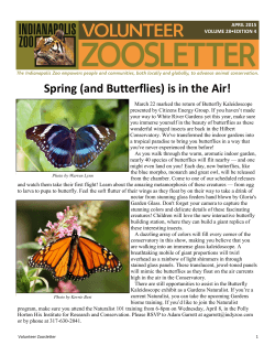 Spring (and Butterflies) is in the Air!
