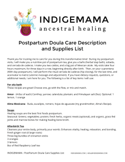 Postpartum Doula Care Description and Supplies List