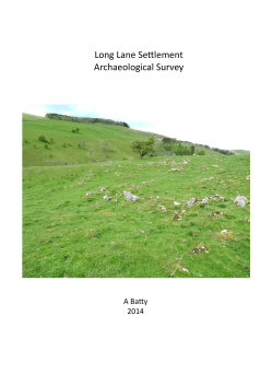 Long Lane Settlement Archaeological Survey