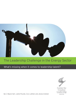The Leadership Challenge in the Energy Sector