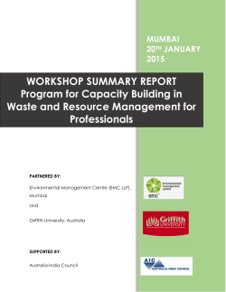 WORKSHOP SUMMARY REPORT Program for Capacity Building in