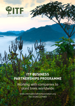 the ITF Business Partnership Brochure