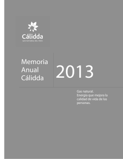 Memoria Calidda 2013..