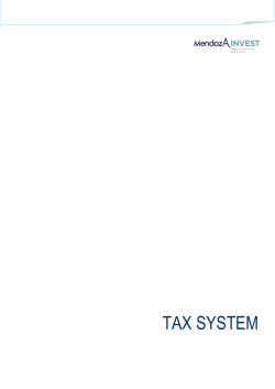 TAX SYSTEM - Mendoza Invest