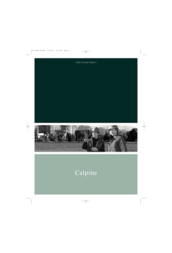 2002 Annual Report - Calpine Corporation