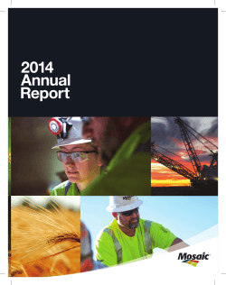 2014 Annual Report and 10-K