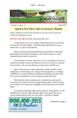 April is Pet First Aid Awareness Month