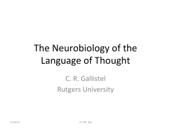 The Neurobiology of the Language of Thought