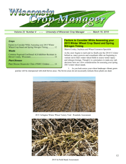 12 Factors to Consider While Assessing your 2015 Winter Wheat