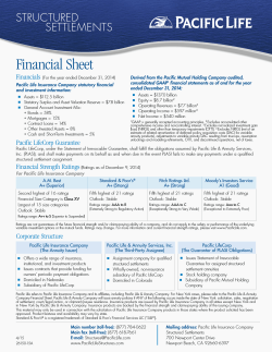 2013 PLIC Financial Sheet
