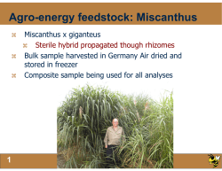 Fundamental Biomass Chemistry of Miscanthus