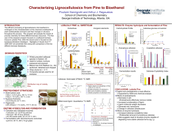 Characterizing Lignocellulosics from Pine to Bioethanol