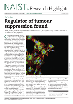 Regulator of tumour suppression found Research Highlights
