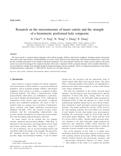 Research on the microstructure of insect cuticle and the strength of a