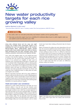 New water productivity targets for each rice growing valley