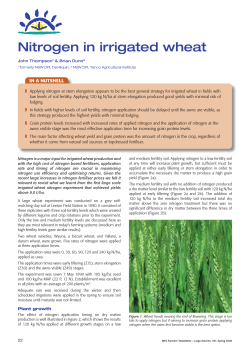Nitrogen in irrigated wheat