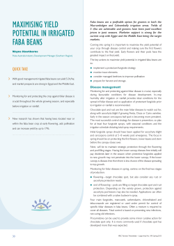 Faba bean management for spring