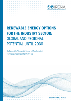 Renewable Energy Options for the Industry Sector: Global