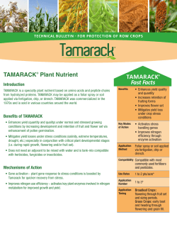 TAMARACK Row Crops Technical Bulletin - Isagro-USA