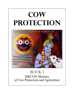 Cow Protection Book