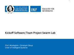 Kickoff Software/Team Project Swarm Lab