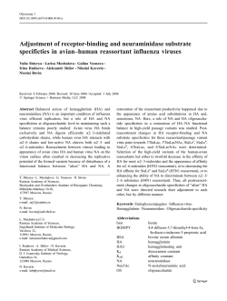 Adjustment of receptor-binding and neuraminidase substrate