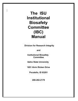 (IBC) Manual - Office For Research