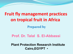 Fruit fly management practices on tropical fruit in Africa