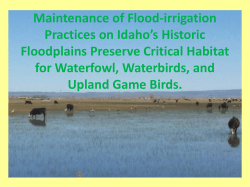 Maintenance of Flood-irrigation Practices on Idaho`s Historic