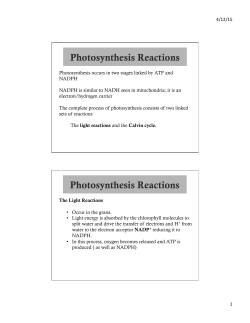 Photosynthesis Reactions Photosynthesis Reactions