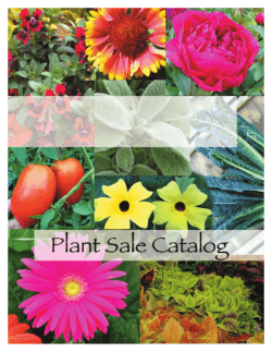 Plant Catalog - Janet`s Jungle