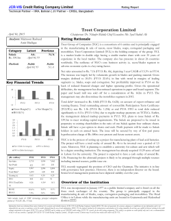 Treet Corporation Limited - JCR